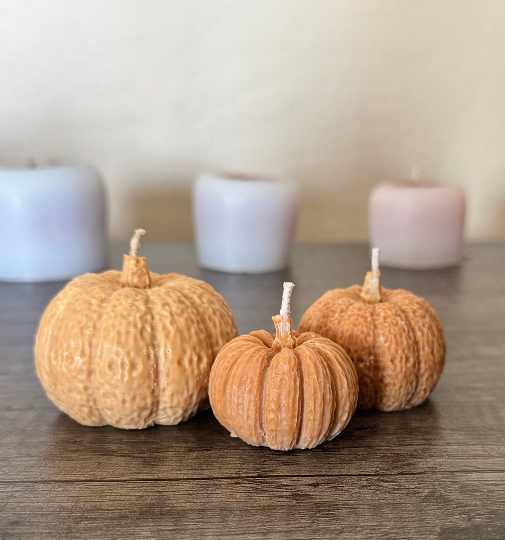 Pumpkin Candles & Melts