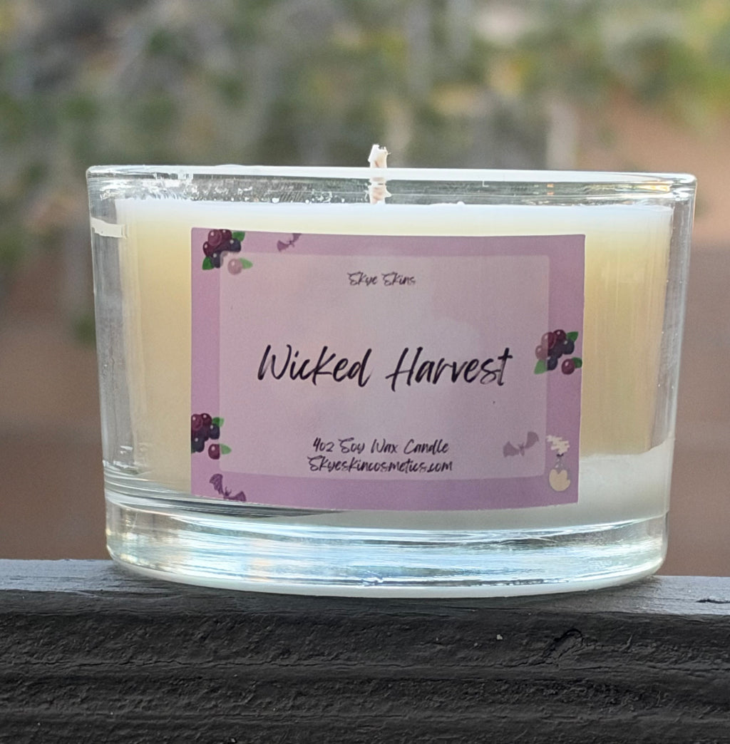 Pumpkin Spice & Everything Nice Candles🎃